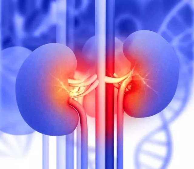 640 (1)_看图王.jpg